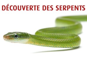 Découverte des serpents - Samedi 26 février 2022